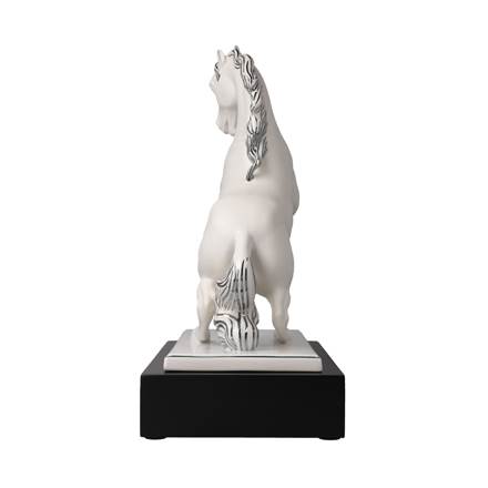 Studio 8 - Magnifique – Bild 2