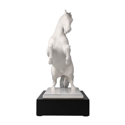 Studio 8 - Magnifique – Bild 4