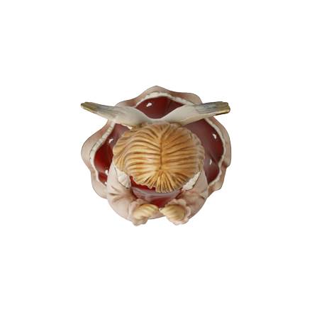 Engel Du bist mein Schatz – Bild 5