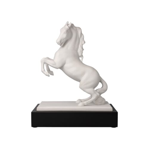 Studio 8 - Magnifique